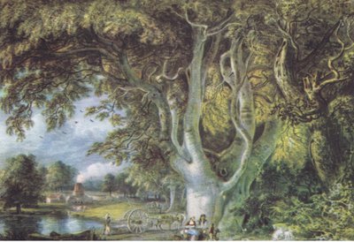 Eikenbomen, Shoreham, Kent, Natuur in Groot-Brittannië gepubliceerd door Collins, 1946 door Samuel Palmer